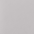 personalise_thumb-dove-grey-rose.jpg